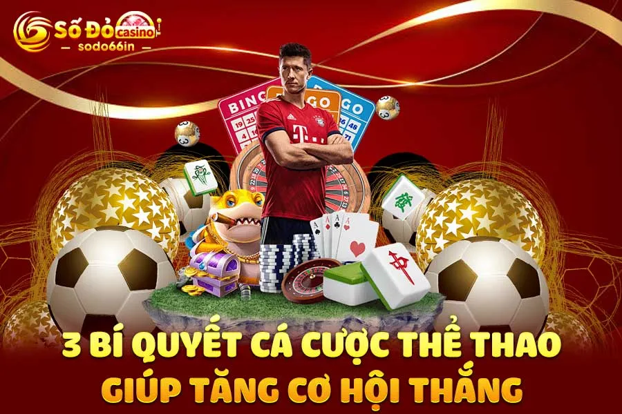 3-bí-quyết-cá-cược thể thao giúp-tăng-cơ-hội-thắng