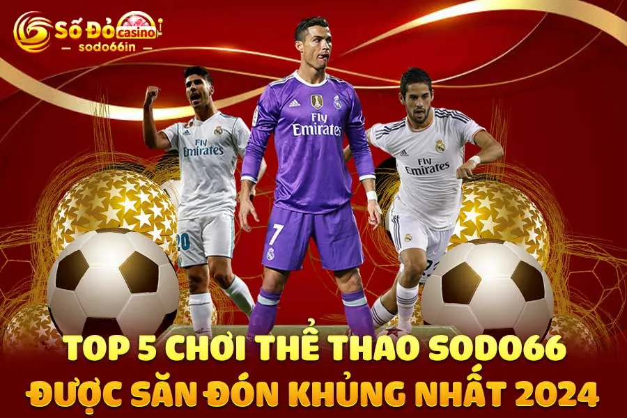 top-5-chơi-thể thao sodo66-được-săn-đón-khủng-nhất-2024